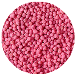 Kolor Pop Rosa