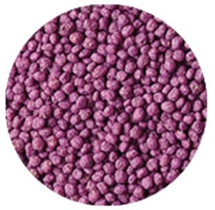 Kolor Pop Morado