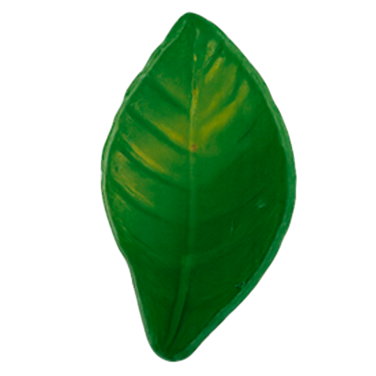decoret figura 6