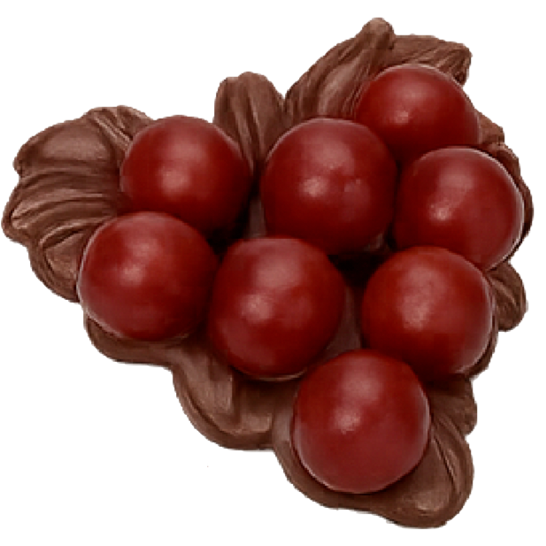 Figura 7